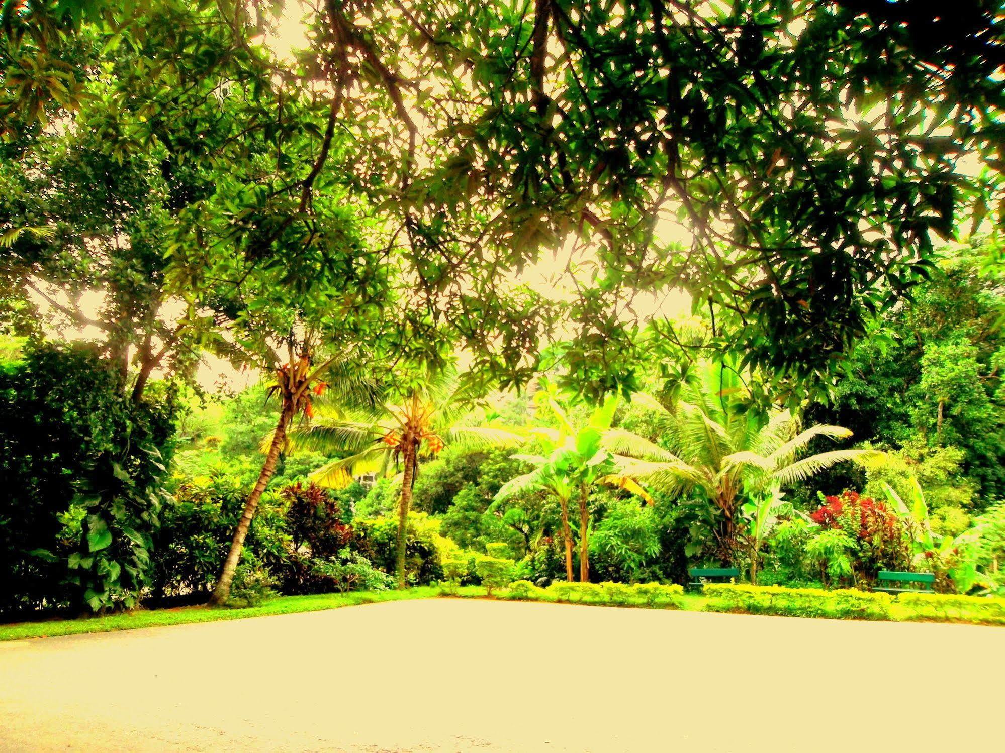 Oyo 433 Paradise Resort Kandy Zewnętrze zdjęcie